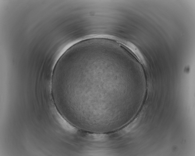 X0000092091244200709191239