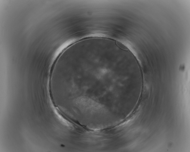 X0000092091245200709191239