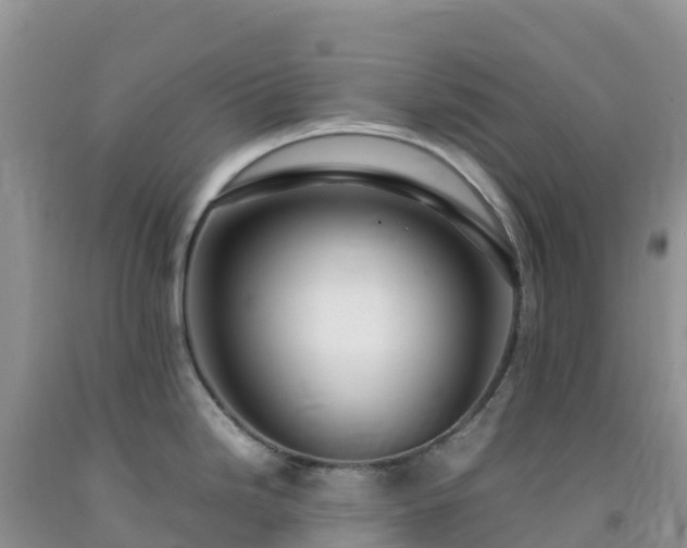 X0000092091246200709191239