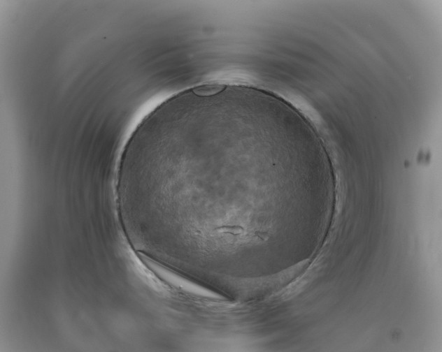 X0000092091248200709191239