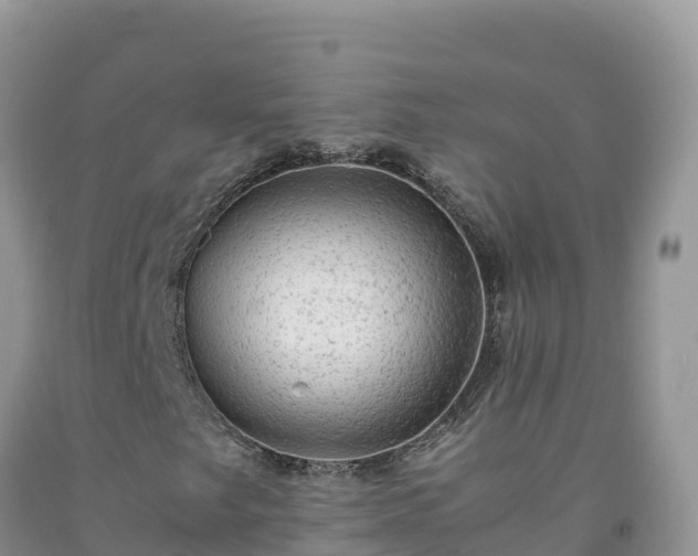 X0000092091249200709191238