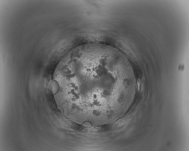 X0000092091251200709191238