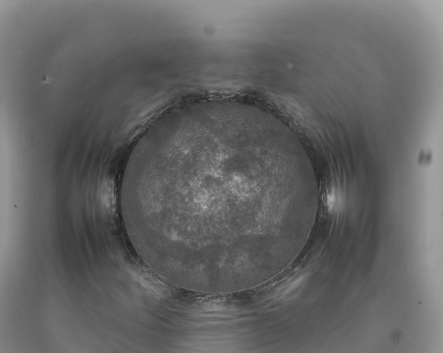 X0000092091252200709191238