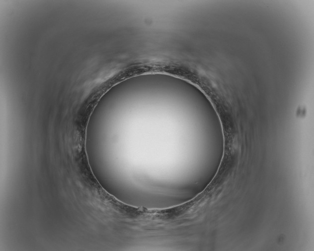 X0000092091253200709191238