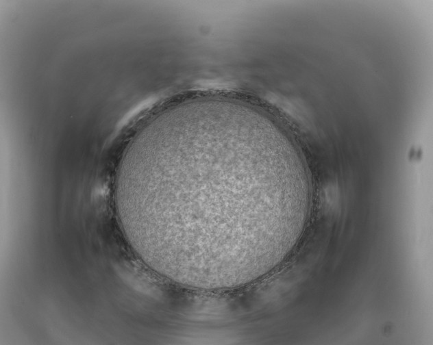 X0000092091254200709191238