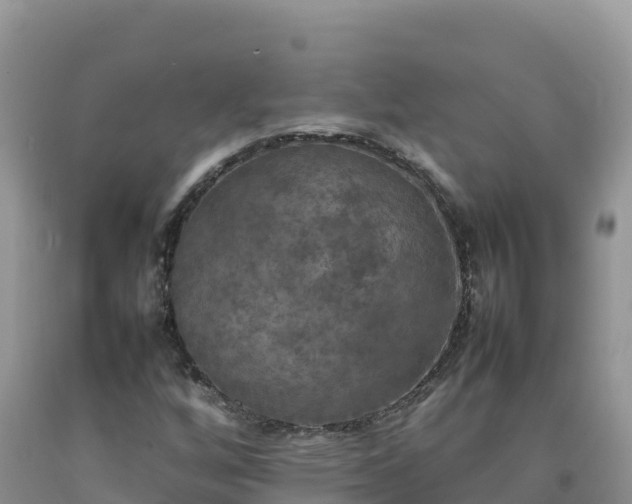 X0000092091256200709191238