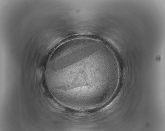X0000092091257200709191238