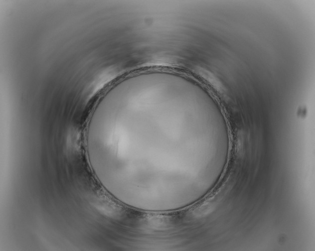X0000092091258200709191238