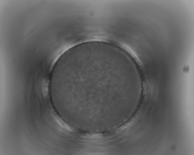 X0000092091260200709191238