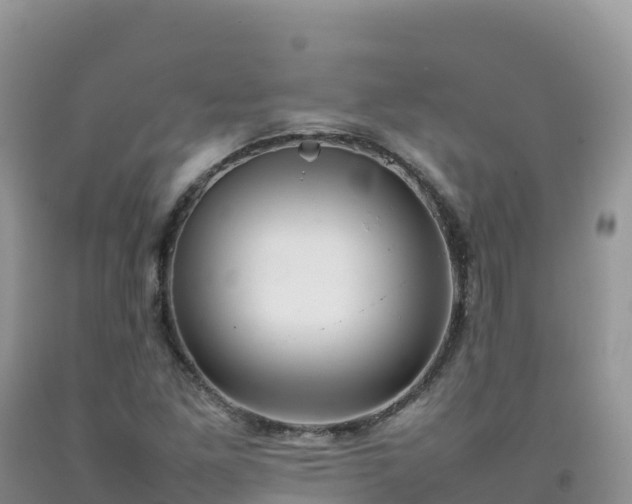 X0000092091261200709191238