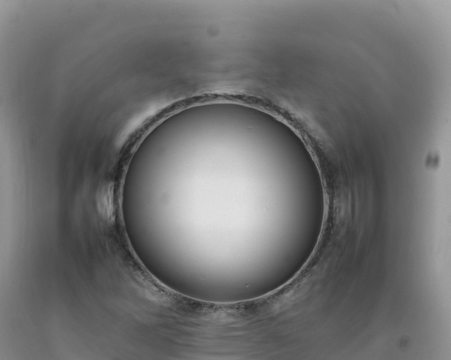 X0000092091262200709191238