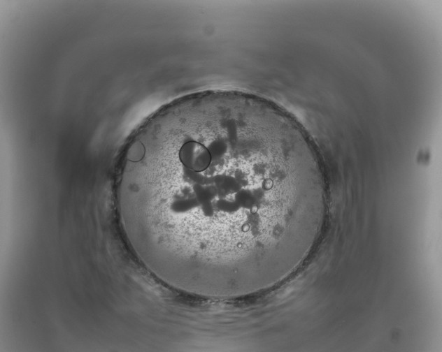 X0000092091263200709191238