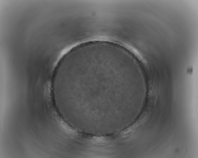X0000092091264200709191238