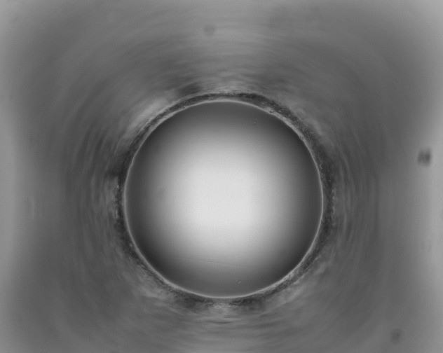 X0000092091265200709191238