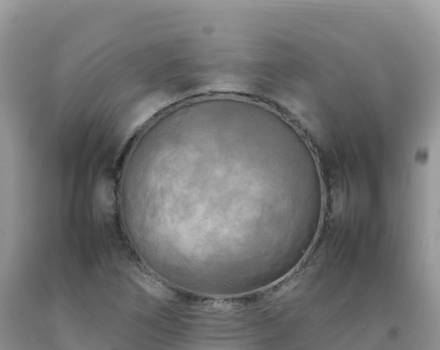X0000092091266200709191238