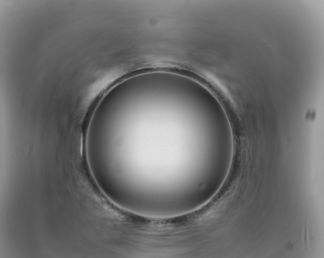 X0000092091269200709191238