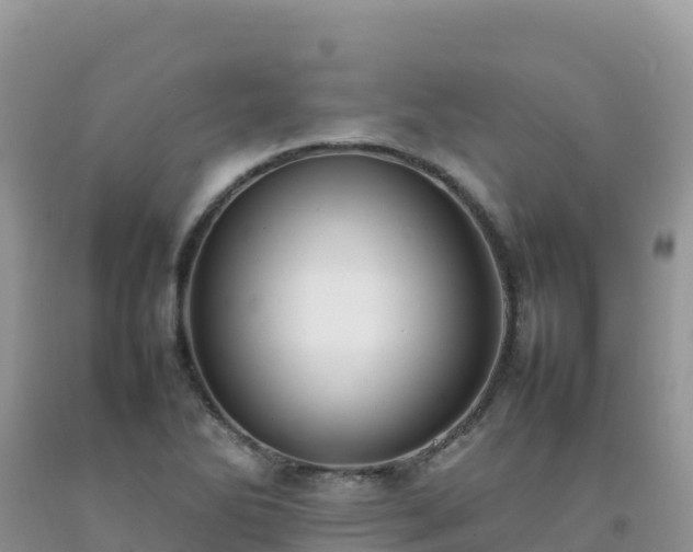X0000092091270200709191238