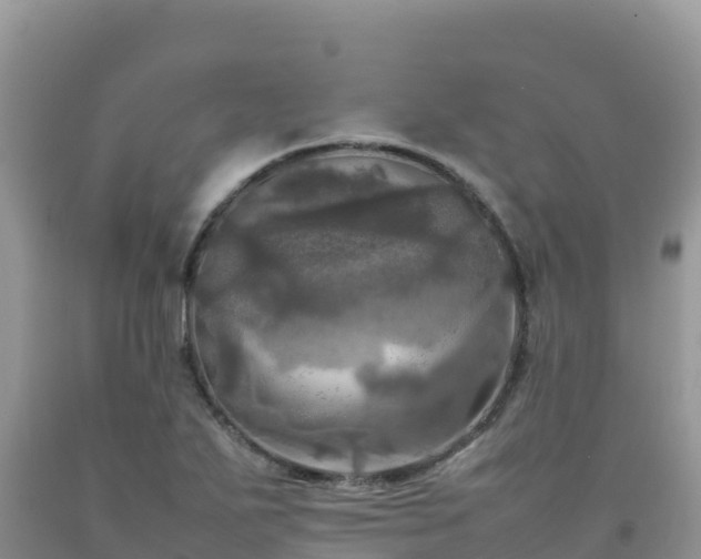 X0000092091271200709191238