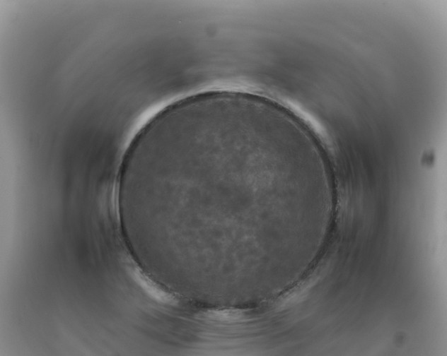 X0000092091272200709191238