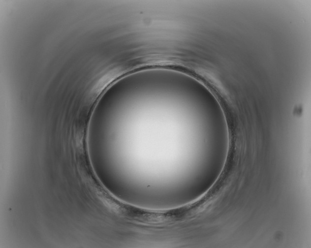 X0000092091273200709191238