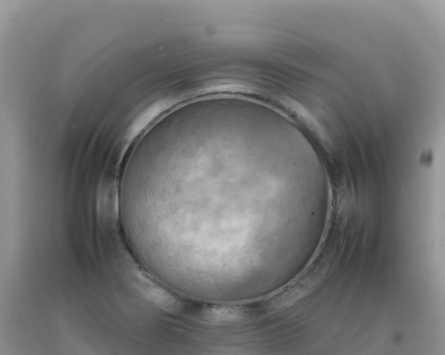 X0000092091274200709191238