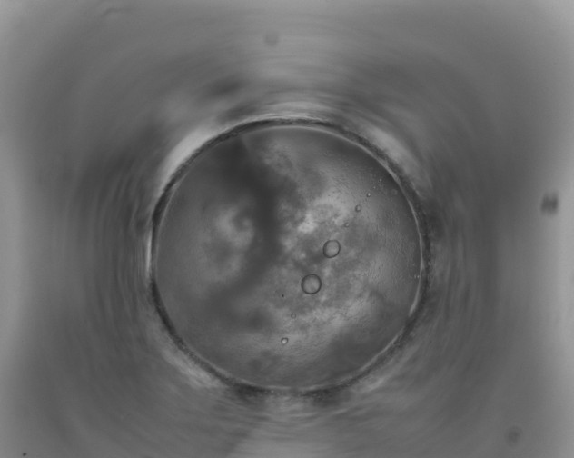 X0000092091275200709191238