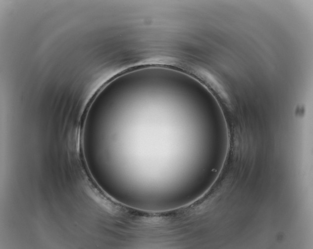 X0000092091276200709191238