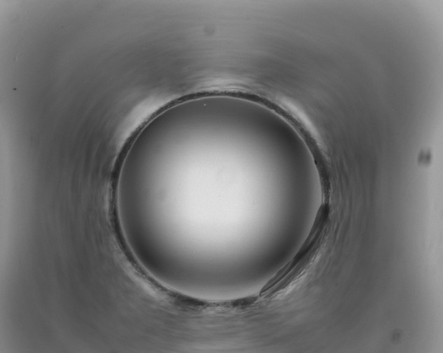 X0000092091277200709191238