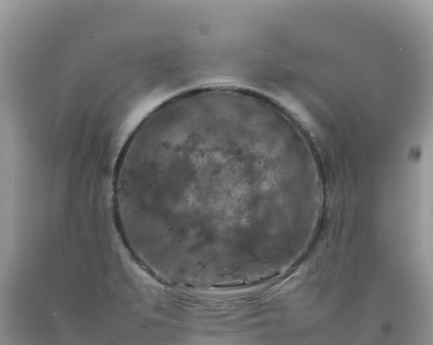 X0000092091279200709191238