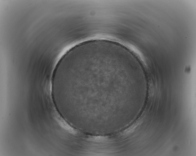 X0000092091280200709191238