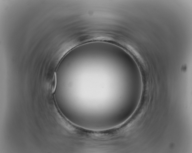X0000092091281200709191238