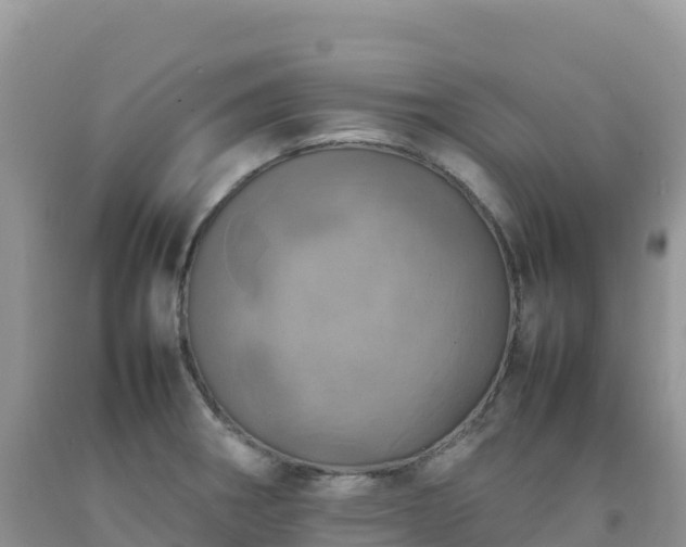 X0000092091282200709191238