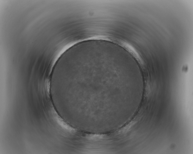 X0000092091284200709191238