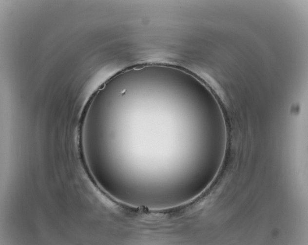 X0000092091285200709191238