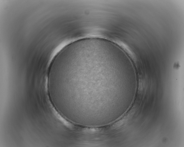 X0000092091286200709191238