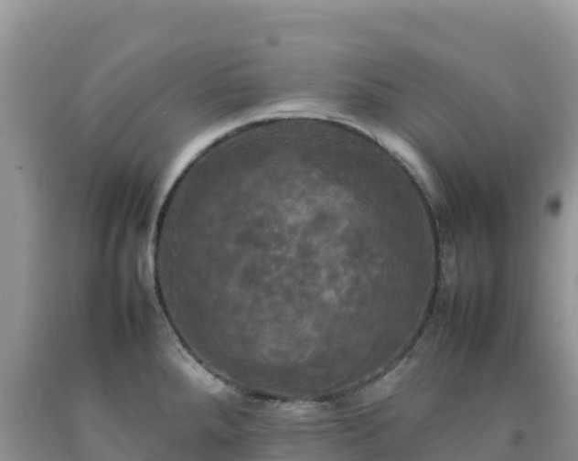 X0000092091288200709191238