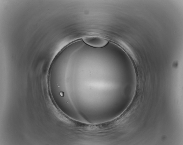 X0000092091291200709191238
