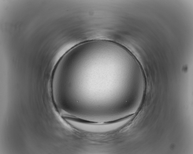 X0000092091293200709191238