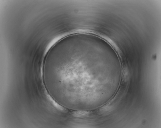 X0000092091294200709191238