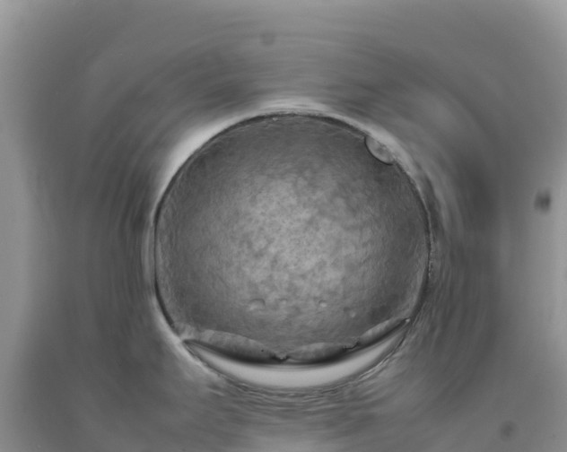 X0000092091295200709191238