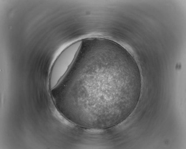 X0000092091296200709191238