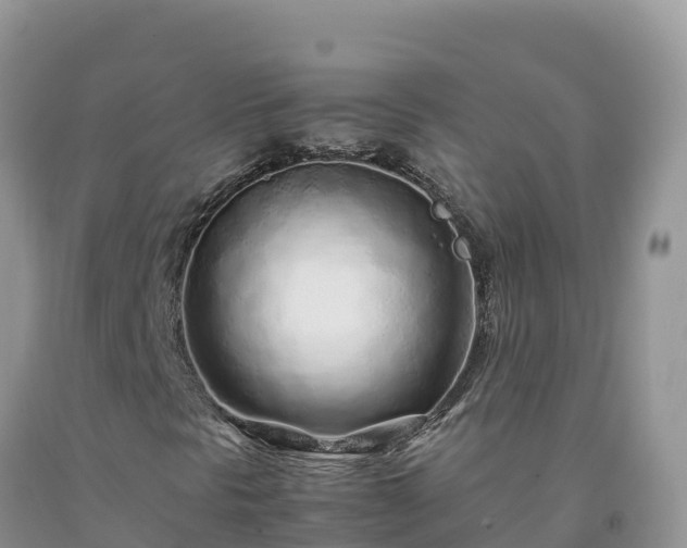 X0000092091297200709191237
