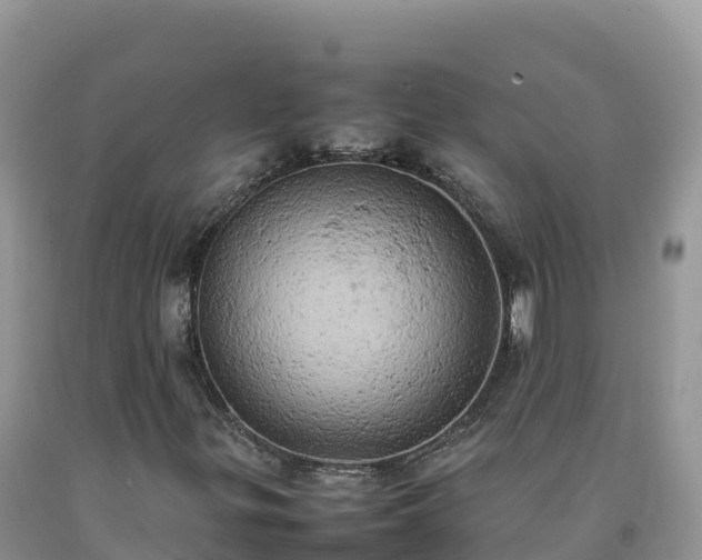 X0000092091299200709191237