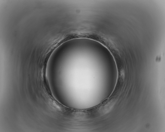 X0000092091300200709191237
