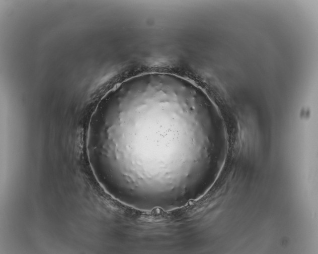 X0000092091301200709191237