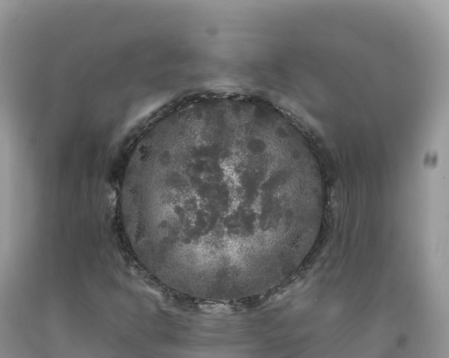 X0000092091302200709191237