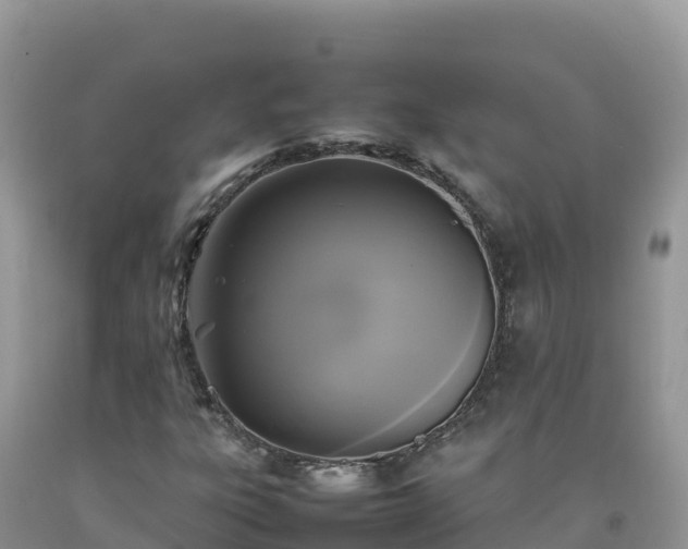 X0000092091303200709191237