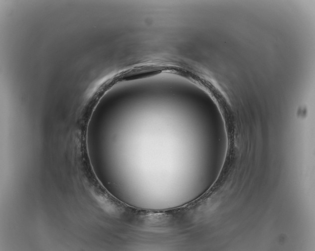 X0000092091304200709191237