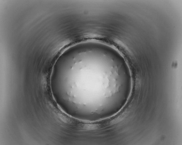 X0000092091305200709191237