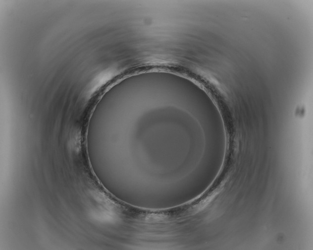 X0000092091306200709191237